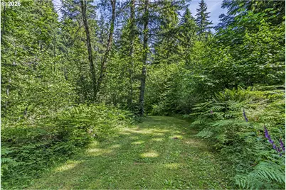 136 Longhorn Rd, Amboy, WA 98601 - Photo 32