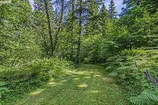 136 Longhorn Rd, Amboy, WA 98601 - Photo 32