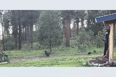 39798 Bear Gulch Rd, Sumpter, OR 97877 - Photo 22