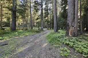 27428 W Odell Rd, Crescent Lake, OR 97733 - Photo 18