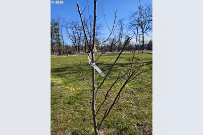 80165 Ridgetop Rd, Dufur, OR 97021 - Photo 38