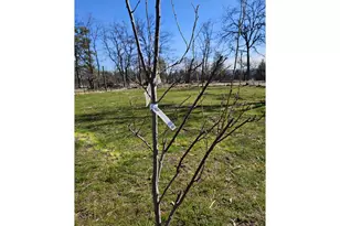 80165 Ridgetop Rd, Dufur, OR 97021 - Photo 38