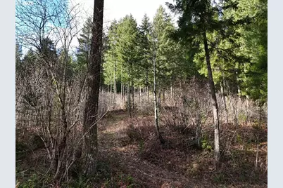 1951 Bear Creek Rd, Carson, WA 98610 - Photo 6