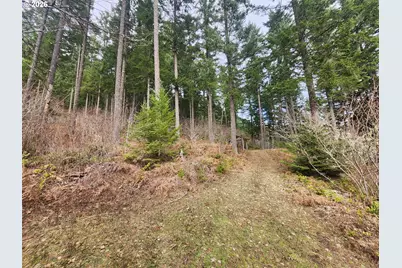 1951 Bear Creek Rd, Carson, WA 98610 - Photo 20