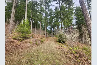 1951 Bear Creek Rd, Carson, WA 98610 - Photo 22