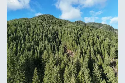 1951 Bear Creek Rd, Carson, WA 98610 - Photo 8