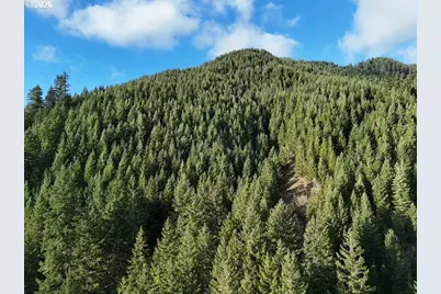 1951 Bear Creek Rd, Carson, WA 98610 - Photo 1