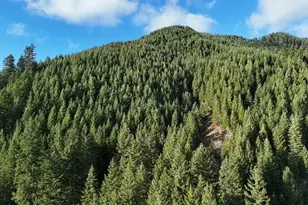 1951 Bear Creek Rd, Carson, WA 98610 - Photo 1