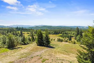 805 Luebke Rd, Toutle, WA 98649 - Photo 38