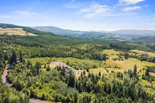 805 Luebke Rd, Toutle, WA 98649 - Photo 42