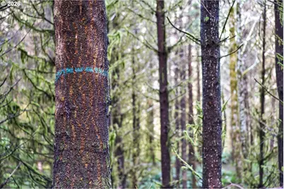 0 S Hwy 42 S #2, Coquille, OR 97423 - Photo 24