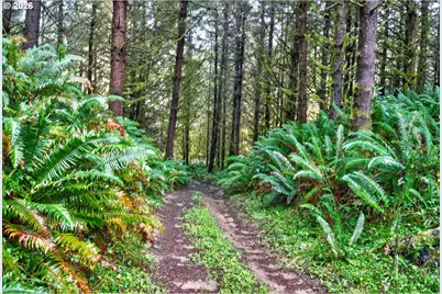 0 S Hwy 42 S #2, Coquille, OR 97423 - Photo 10