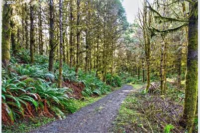 0 S Hwy 42 S #2, Coquille, OR 97423 - Photo 8