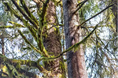 0 S Hwy 42 S #2, Coquille, OR 97423 - Photo 22