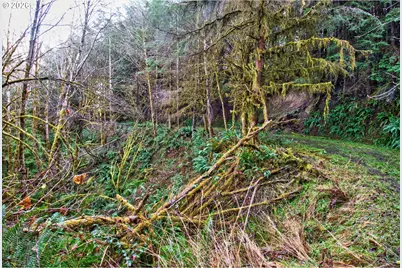 0 S Hwy 42 S #2, Coquille, OR 97423 - Photo 30