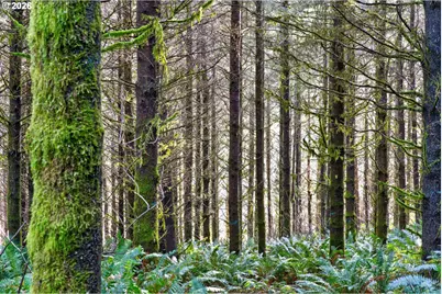 0 S Hwy 42 S #2, Coquille, OR 97423 - Photo 18