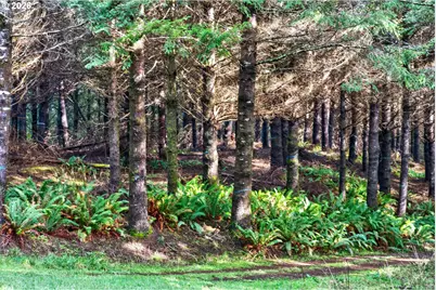 0 S Hwy 42 S #2, Coquille, OR 97423 - Photo 12