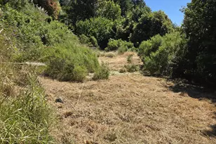 95800 Timber Hill Rd, Gold Beach, OR 97444 - Photo 36