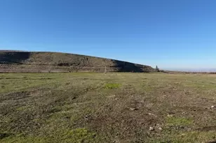 000 Prunedale Rd, Milton-Freewater, OR 97862 - Photo 1