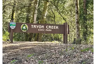 7929 SW 4th Ave, Portland, OR 97219 - Photo 40