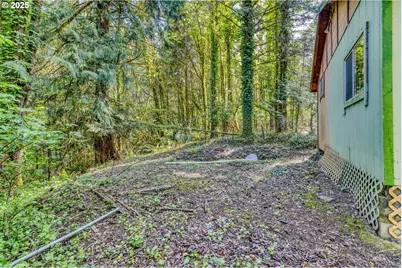 56010 Goldbrick Rd, Myrtle Point, OR 97458 - Photo 14