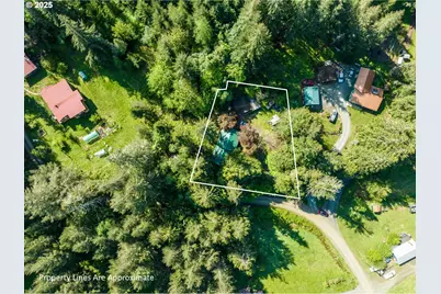 56010 Goldbrick Rd, Myrtle Point, OR 97458 - Photo 6