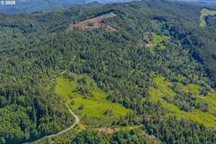 46345 Dement Creek Rd, Myrtle Point, OR 97458 - Photo 46