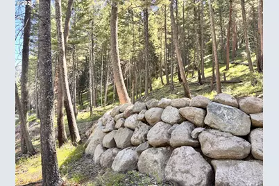 Arapahoe Rd, Joseph, OR 97846 - Photo 2
