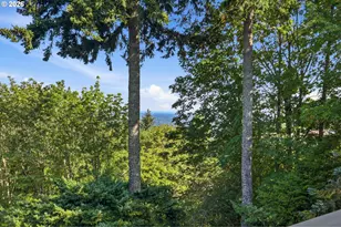 7823 SE 140th Dr, Portland, OR 97236 - Photo 42