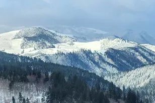 1141 Cedar Falls Rd, Washougal, WA 98671 - Photo 28