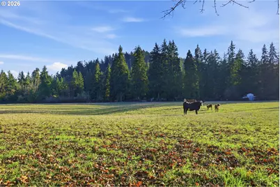 38961 Place Rd, Fall Creek, OR 97438 - Photo 12