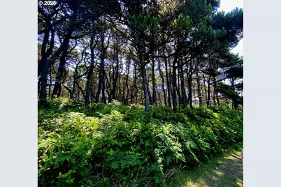 Sea Way Loop, Waldport, OR 97394 - Photo 2