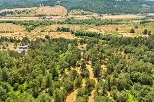 1623 Lower Crest Rd, Oakland, OR 97462 - Photo 40