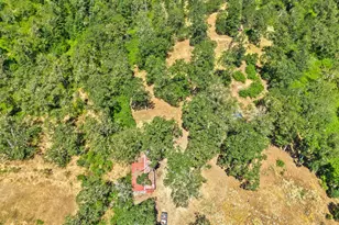 1623 Lower Crest Rd, Oakland, OR 97462 - Photo 36
