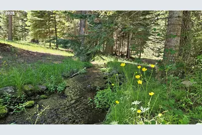 61001 Liberty Rd, Joseph, OR 97846 - Photo 32