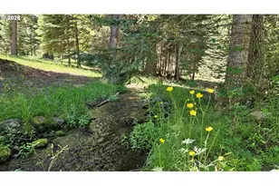 61001 Liberty Rd, Joseph, OR 97846 - Photo 32