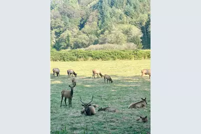 233 Johanneson Creek Rd, Reedsport, OR 97467 - Photo 46