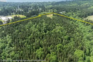 145 Talkeetna Hts Pl, Longview, WA 98632 - Photo 44