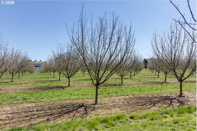29680 Crook Dr, Halsey, OR 97348 - Photo 38