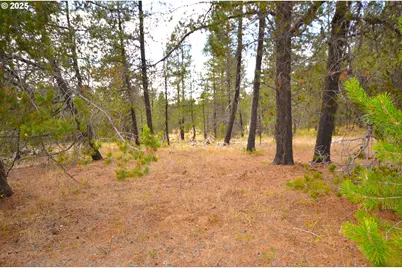 64955 Old Oregon, Pendleton, OR 97801 - Photo 22