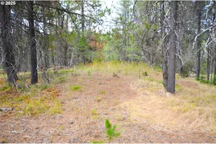 64955 Old Oregon, Pendleton, OR 97801 - Photo 18