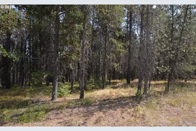 64955 Old Oregon, Pendleton, OR 97801 - Photo 46