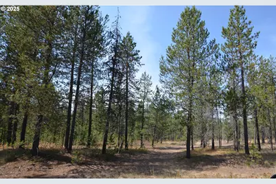 64955 Old Oregon, Pendleton, OR 97801 - Photo 36