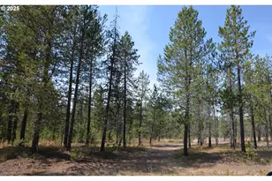 64955 Old Oregon, Pendleton, OR 97801 - Photo 36