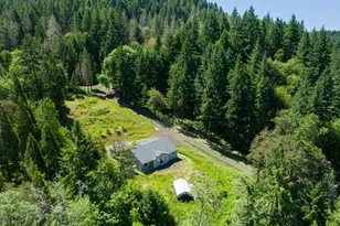 781 Lone Rock Rd, Glide, OR 97443 - Photo 36