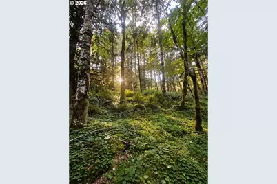 70165 E Barlow Trail Rd, Rhododendron, OR 97049 - Photo 44