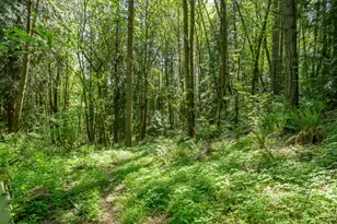 27701 SW Strawberry Hill Dr, Hillsboro, OR 97123 - Photo 42