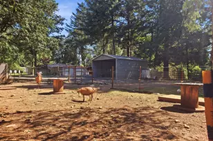 93127 Marcola Rd, Marcola, OR 97454 - Photo 10