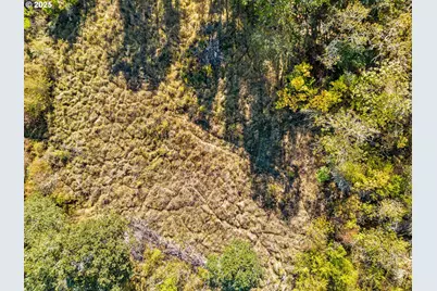 498 SE Dos Gatos Ct, Roseburg, OR 97470 - Photo 12