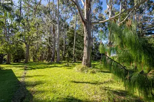 56358 Rusty Rd, Bandon, OR 97411 - Photo 32